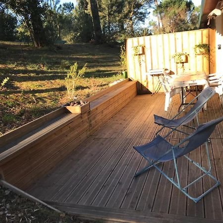 Village Vacances Aux Villages Sous Les Pins Леон Екстериор снимка