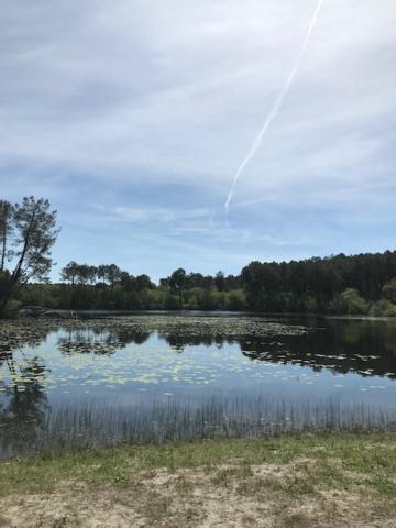 Village Vacances Aux Villages Sous Les Pins Леон Екстериор снимка